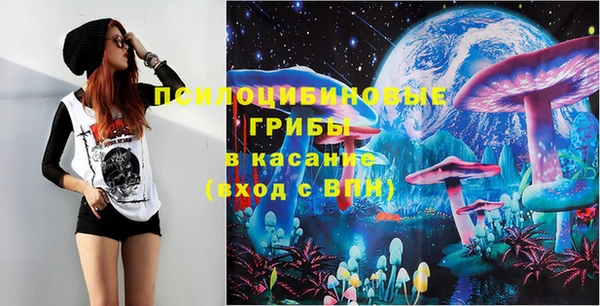 прущая мука Алзамай